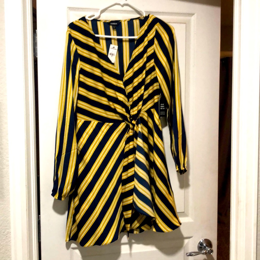 Long sleeve express dress